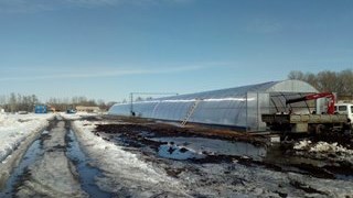 Купить винтовые сваи для теплицы в [city|pp]
